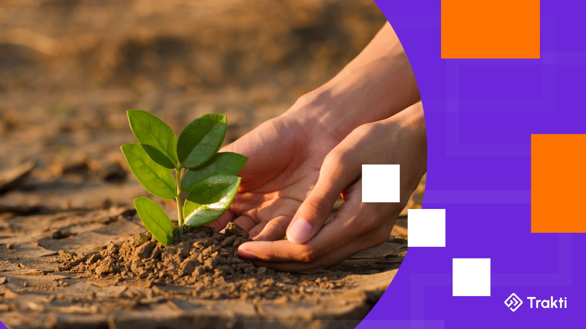 Using blockchain for climate action